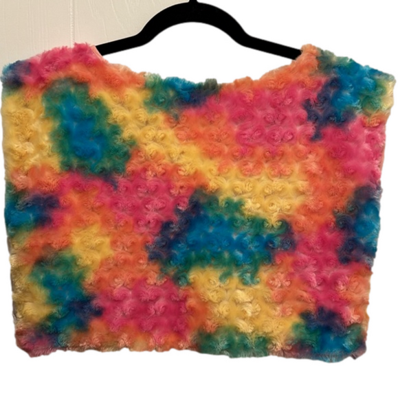Re/Done rainbow crop top - Picture 6 of 7